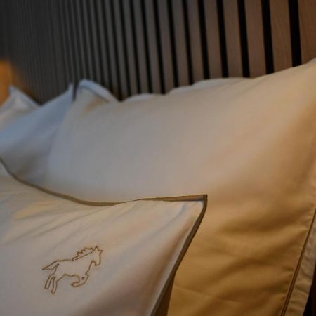Le Cheval Blanc - Lac Du Der - Logis Hotel ジフォーモン・シャンポーベール エクステリア 写真