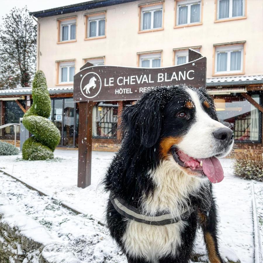 Le Cheval Blanc - Lac Du Der - Logis Hotel ジフォーモン・シャンポーベール エクステリア 写真
